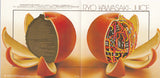 Ryo Kawasaki : Juice (CD, Album, Ltd, RE, RM)