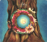 Kenmochi Hidefumi : Falliccia (CD, Album)