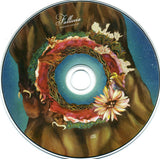 Kenmochi Hidefumi : Falliccia (CD, Album)