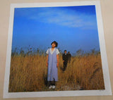 戸川純ユニット* : 極東慰安唱歌 (LP, Album)