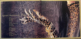 Ayumi Hamasaki : Duty (2xLP, Ltd)